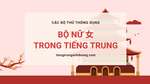 Học 214 bộ thủ tiếng Trung: Bộ Nữ